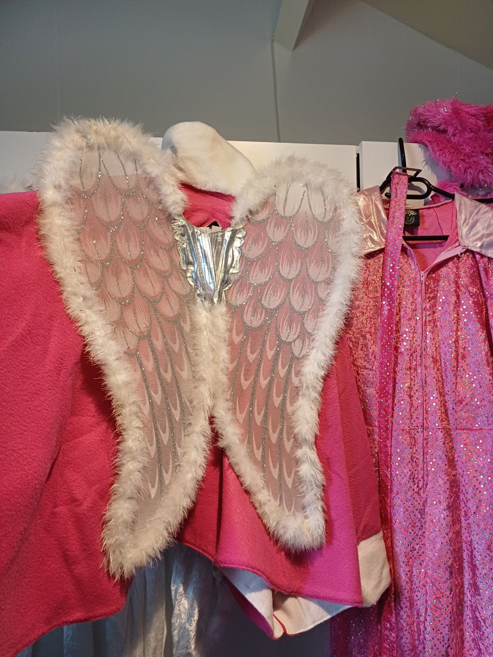 Rose verkleedkleding p/st of 1 koop