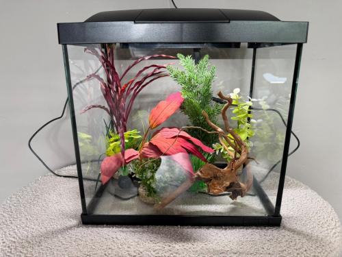 Aquarium met led