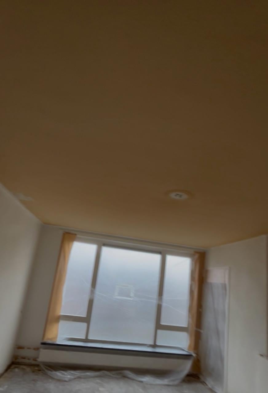 Wagner airless verfspuit 250R