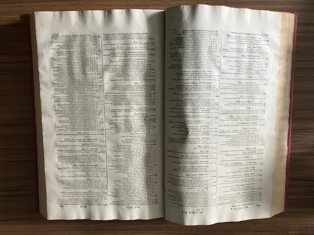 Concordantie Trommius - 3 Delen