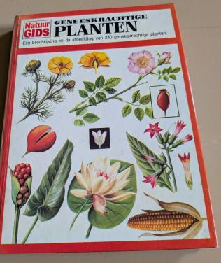 Geneeskrachtige planten