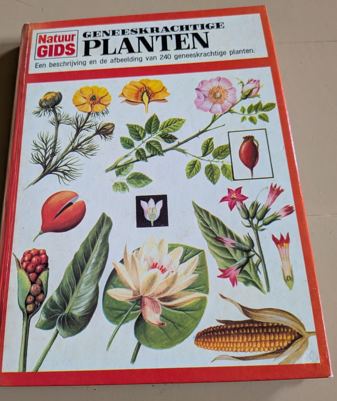 Geneeskrachtige planten