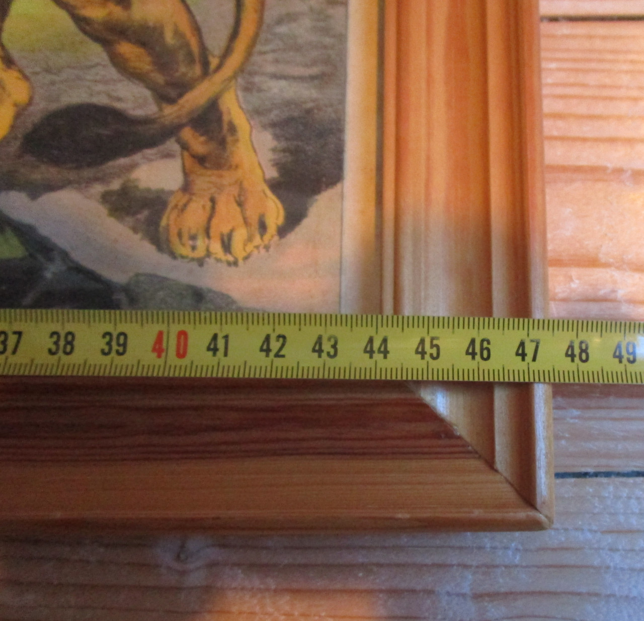 Lijst met leeuwen oude schoolprent achter glas afm:47x41cm.