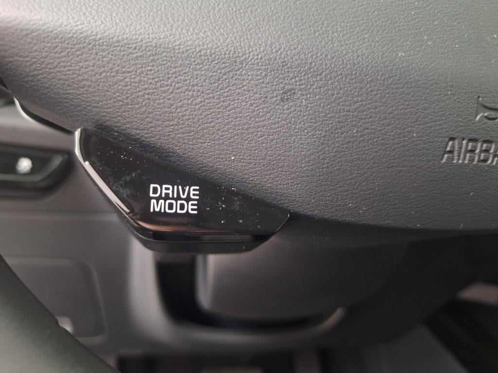 Kia Niro Ev light advanced 64.8 kwh |verkocht