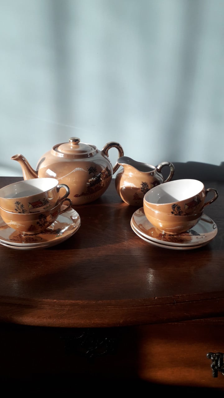 Japans blauw-bruin servies