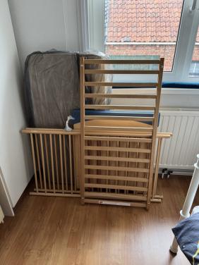 Kinderledikant