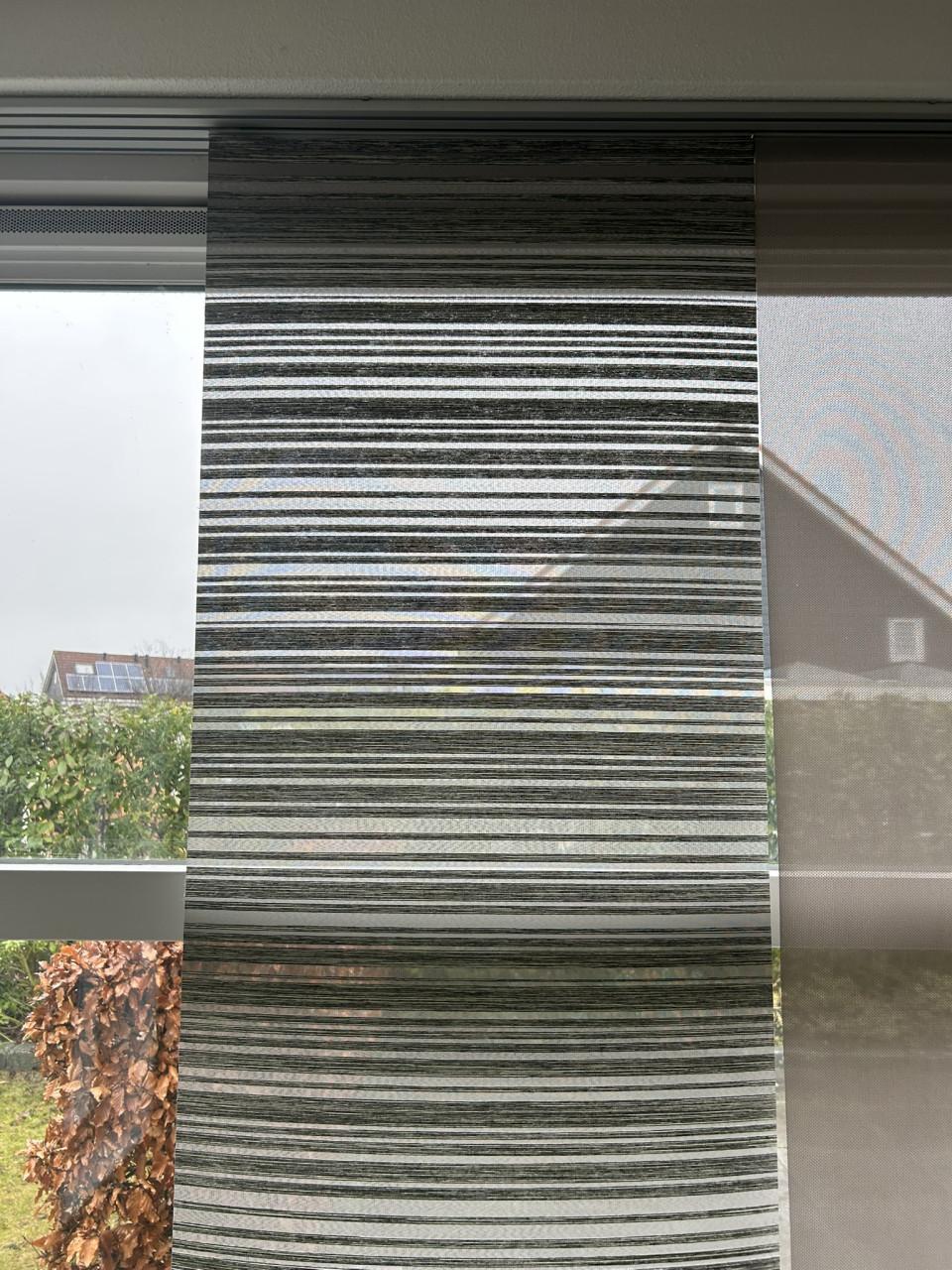 Paneelgordijnen (2 keer 6 stuks, incl rails)