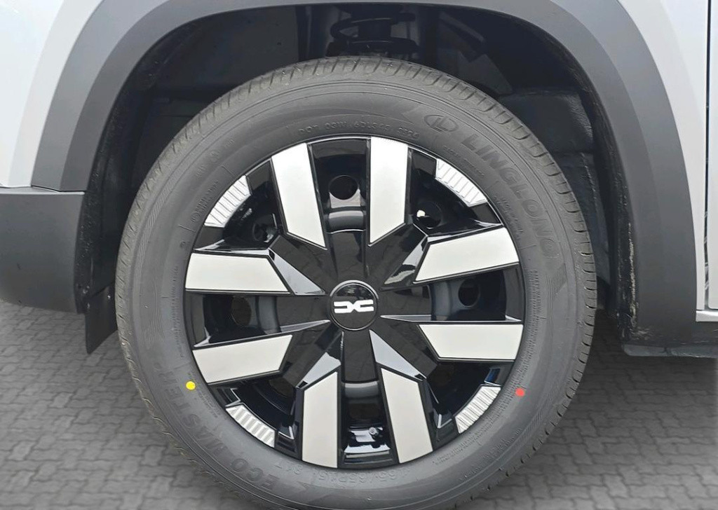 Dacia Spring expression 65 - dc lader 30 kwh