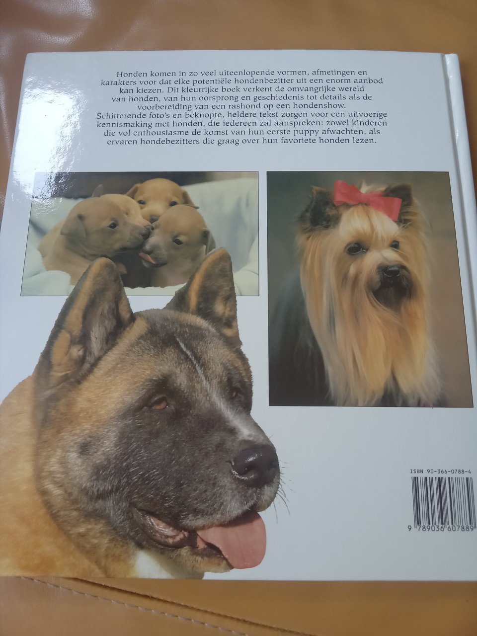 Het complete boek over honden- yvonne Rees