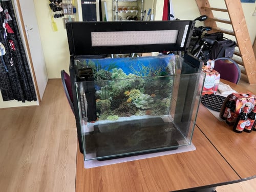 Superfish Home 80 LED Aquarium