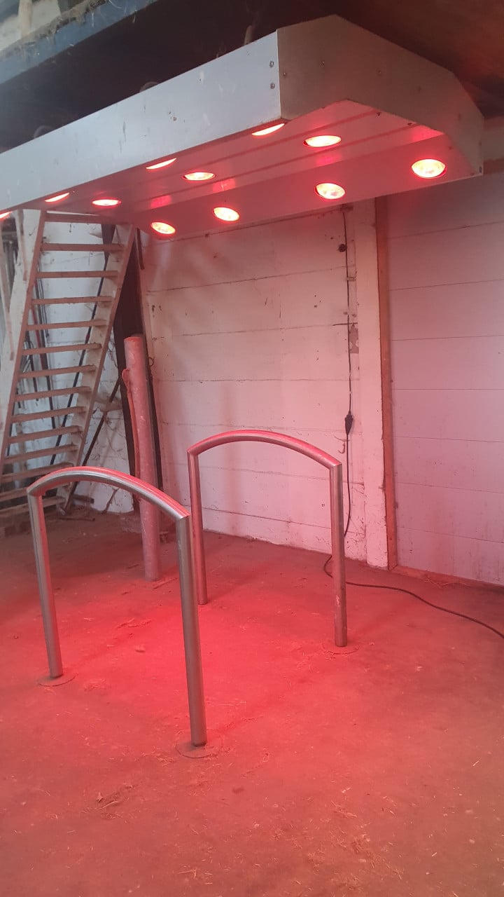 Solarium paarden goede staat