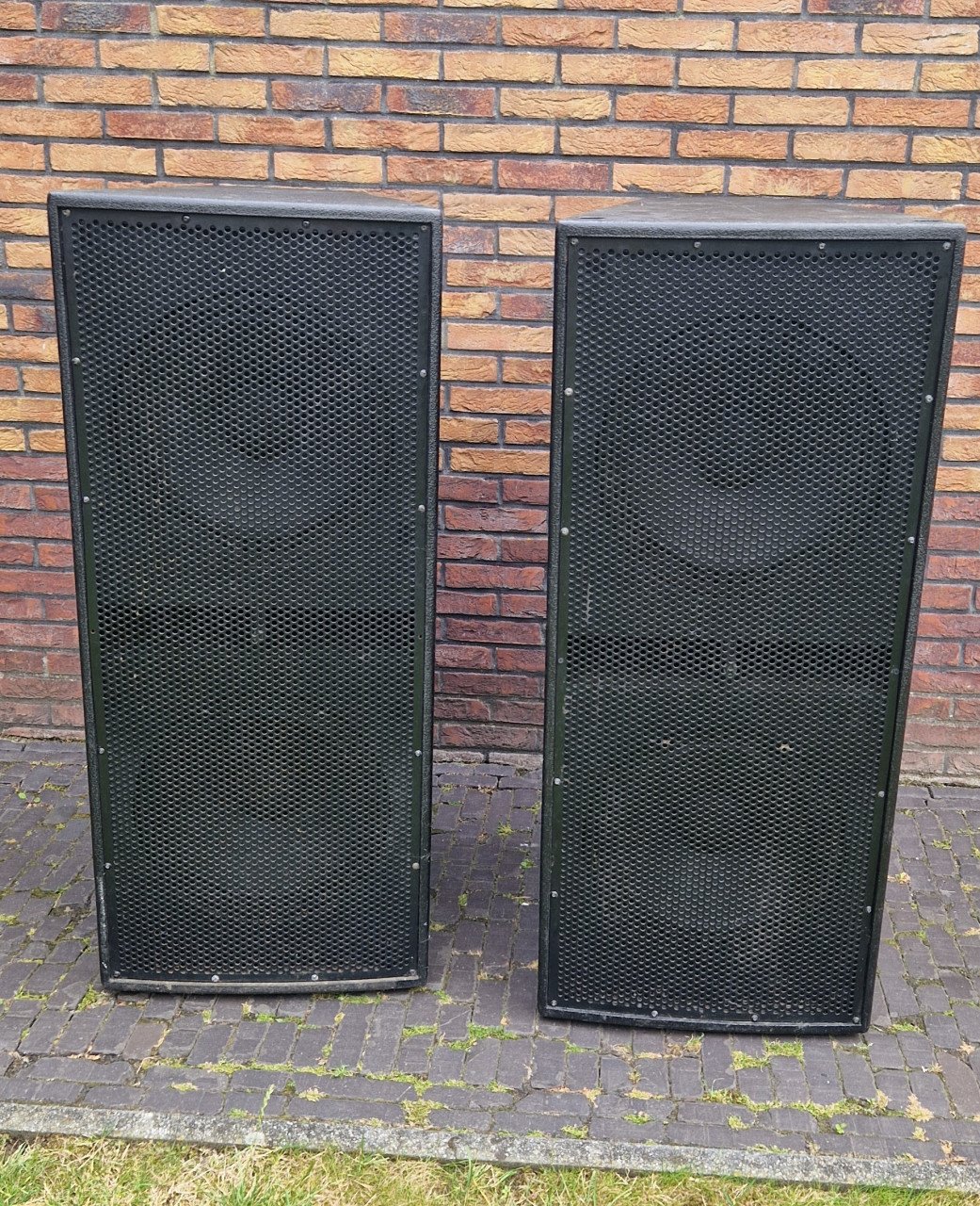 2x passieve subwoofers dubbel 15 inch 600 watt met FANE speakers.
