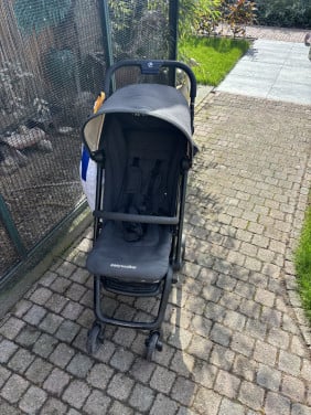 Buggy Easy Walker