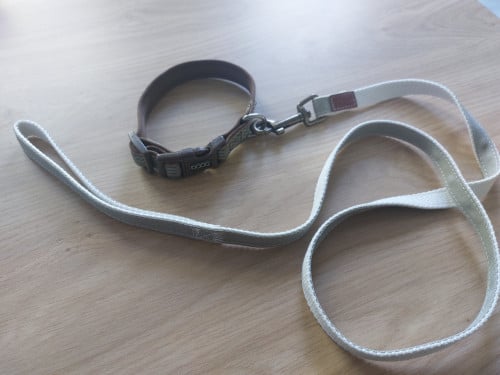 Halsband met riem