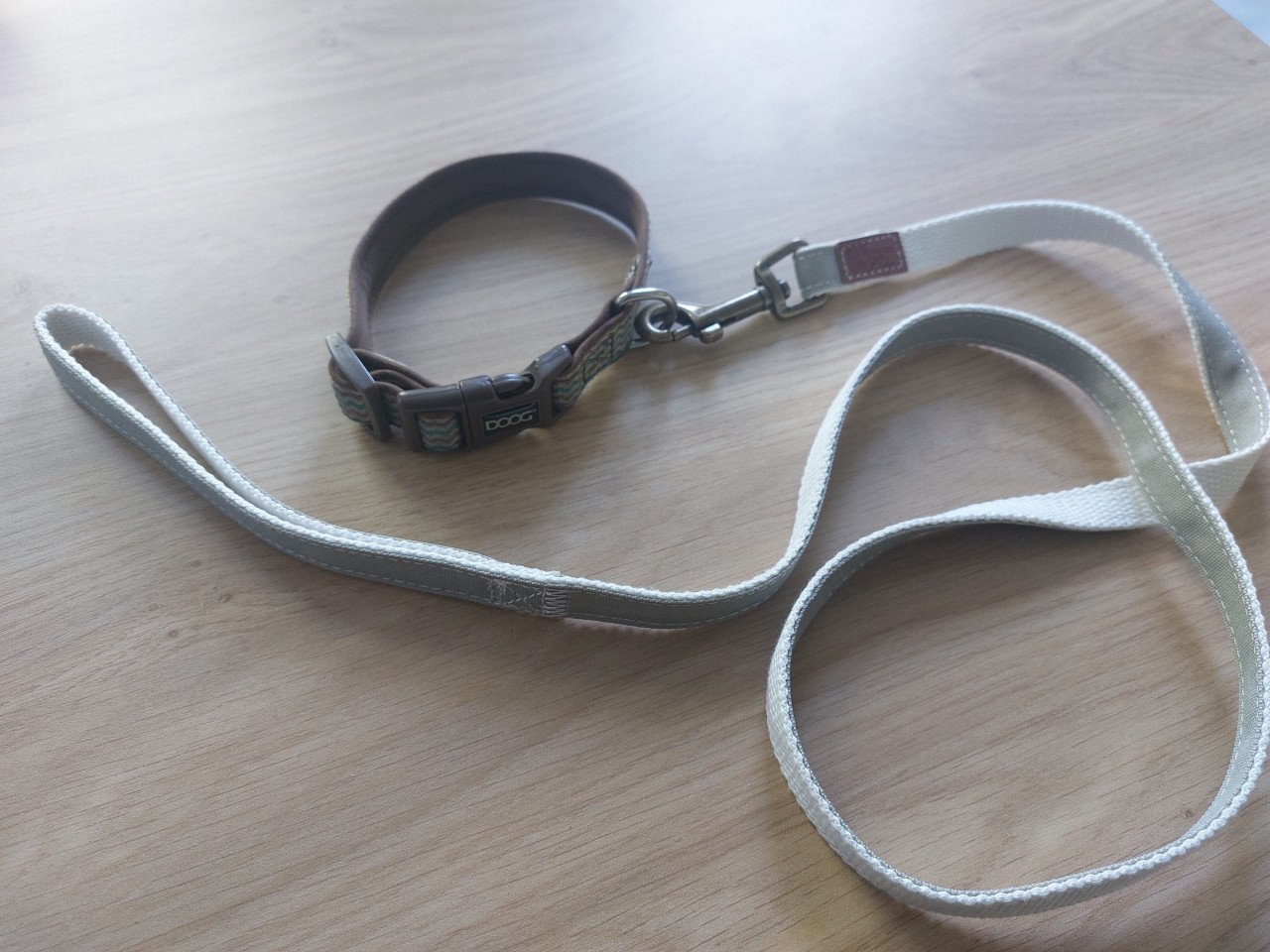 Halsband met riem