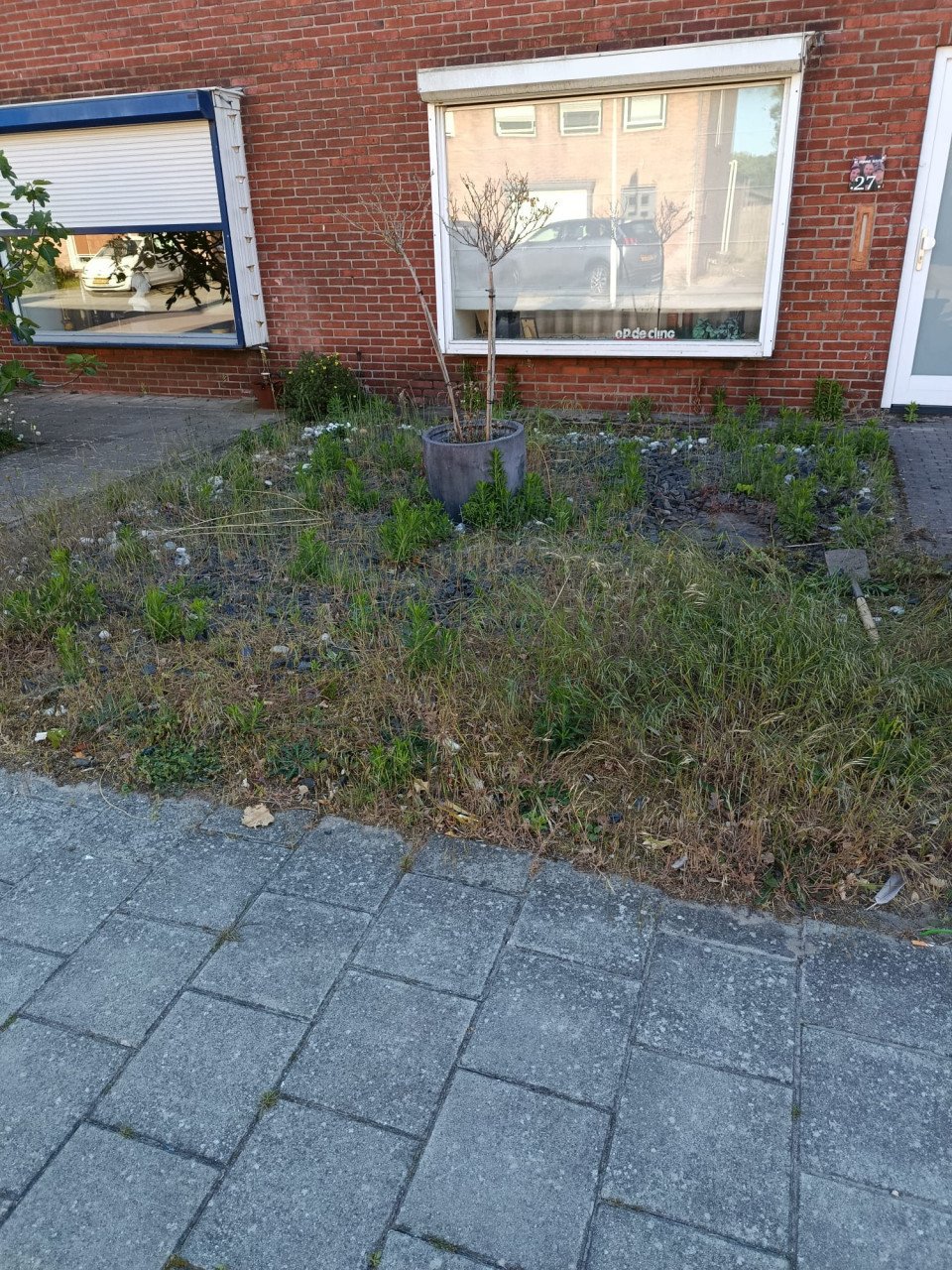 Tuinonderhoud