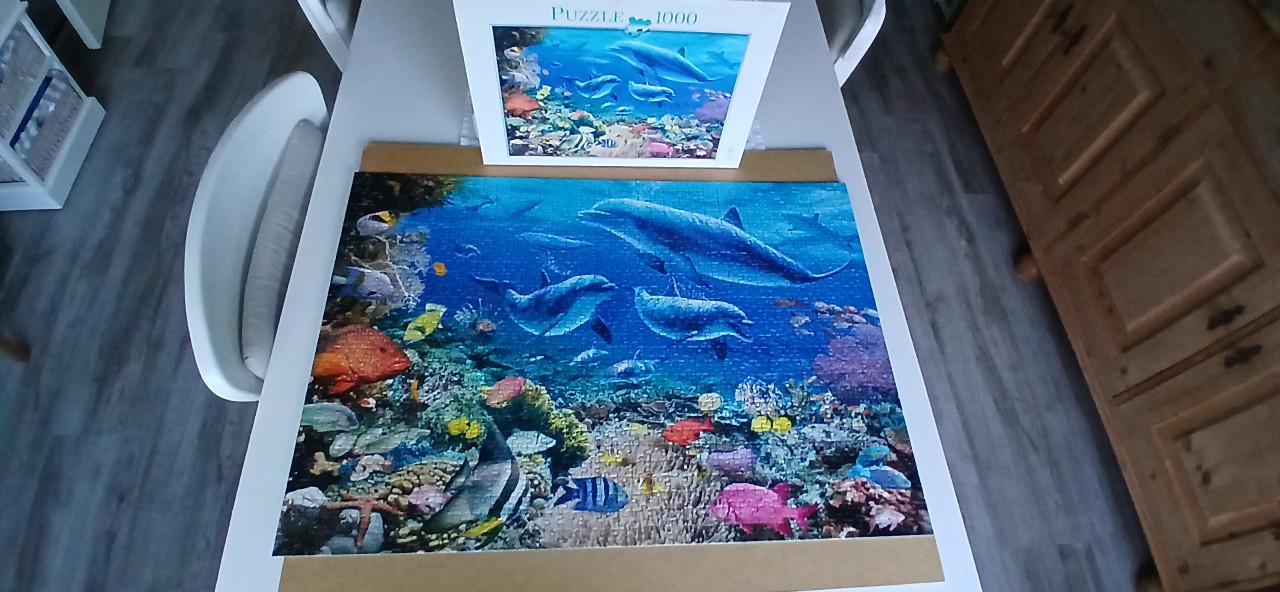 Puzzel 1000 stukjes