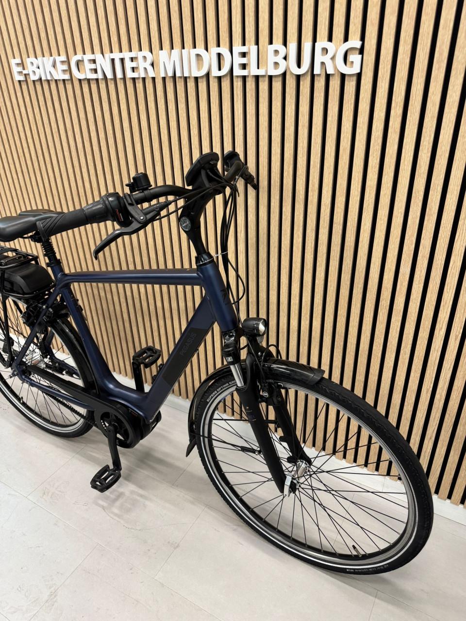 Pegasus Siena E7F Plus Bosch Active Line Plus 500Wh 60CM Belt