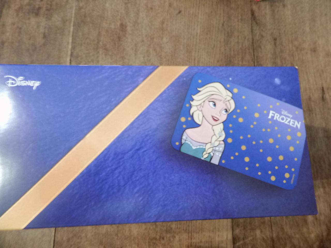 Disney bewaarblik Frozen