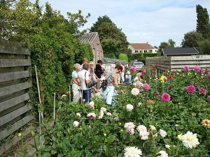 De dahliatuin is weer open
