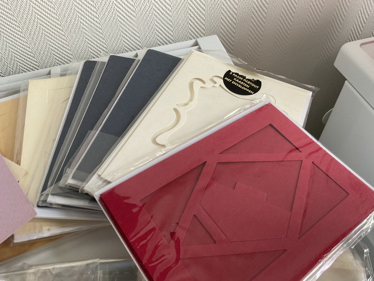 Kaarten + enveloppe + doorzichtige zakjes