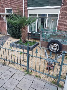 Gratis op te halen: