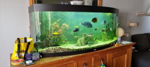 Panorama aquarium let op is lek GRATIS OPHALEN