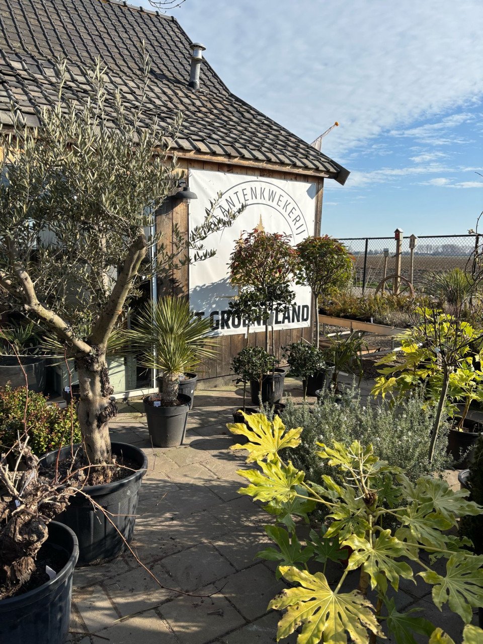 PLANTENKWEKERIJ ‘t GROENE LAND