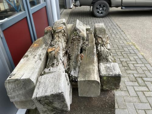 Hardhouten palen met een verleden