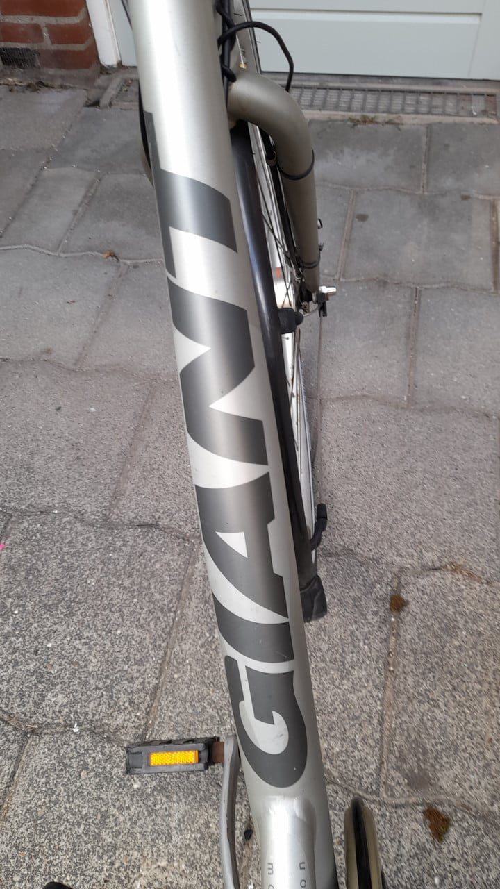 Damesfiets Giant