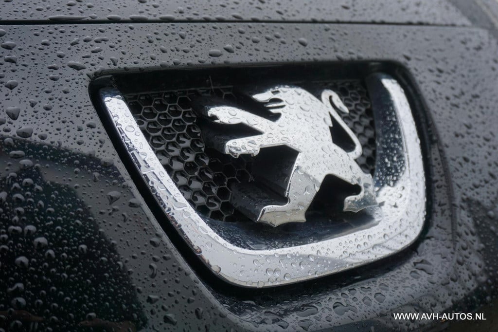 Peugeot 206 + 1.4 xs