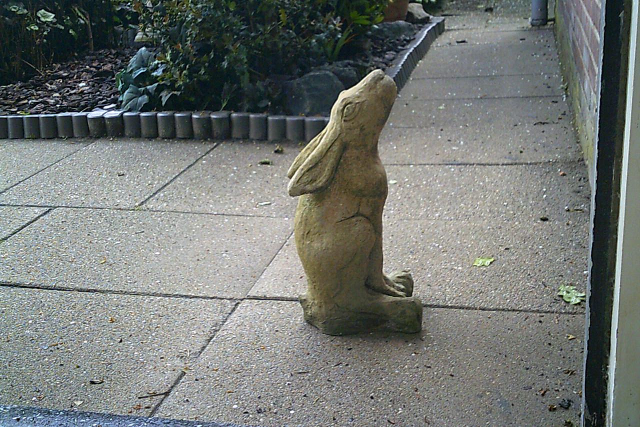 TUINBEELD - moon gazing hare ...