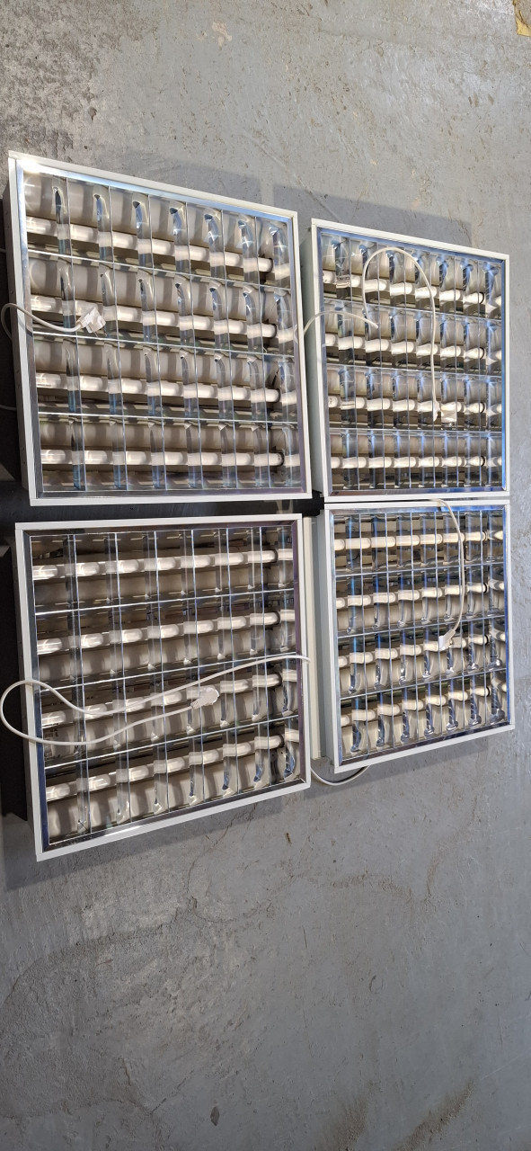 Systeemplafon verlichting