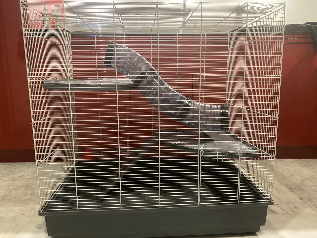 Te koop: Rattenkooi (ferplast Jenna) inclusief accessoires