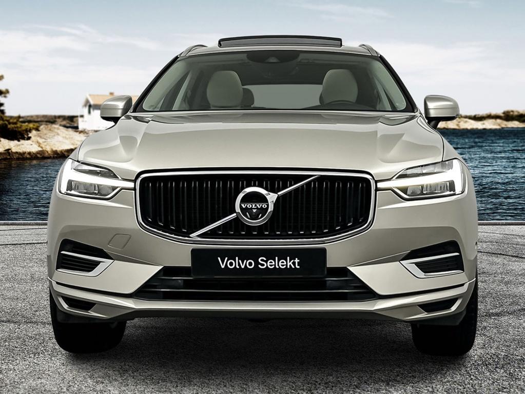 Volvo XC60 t8 390pk recharge momentum|