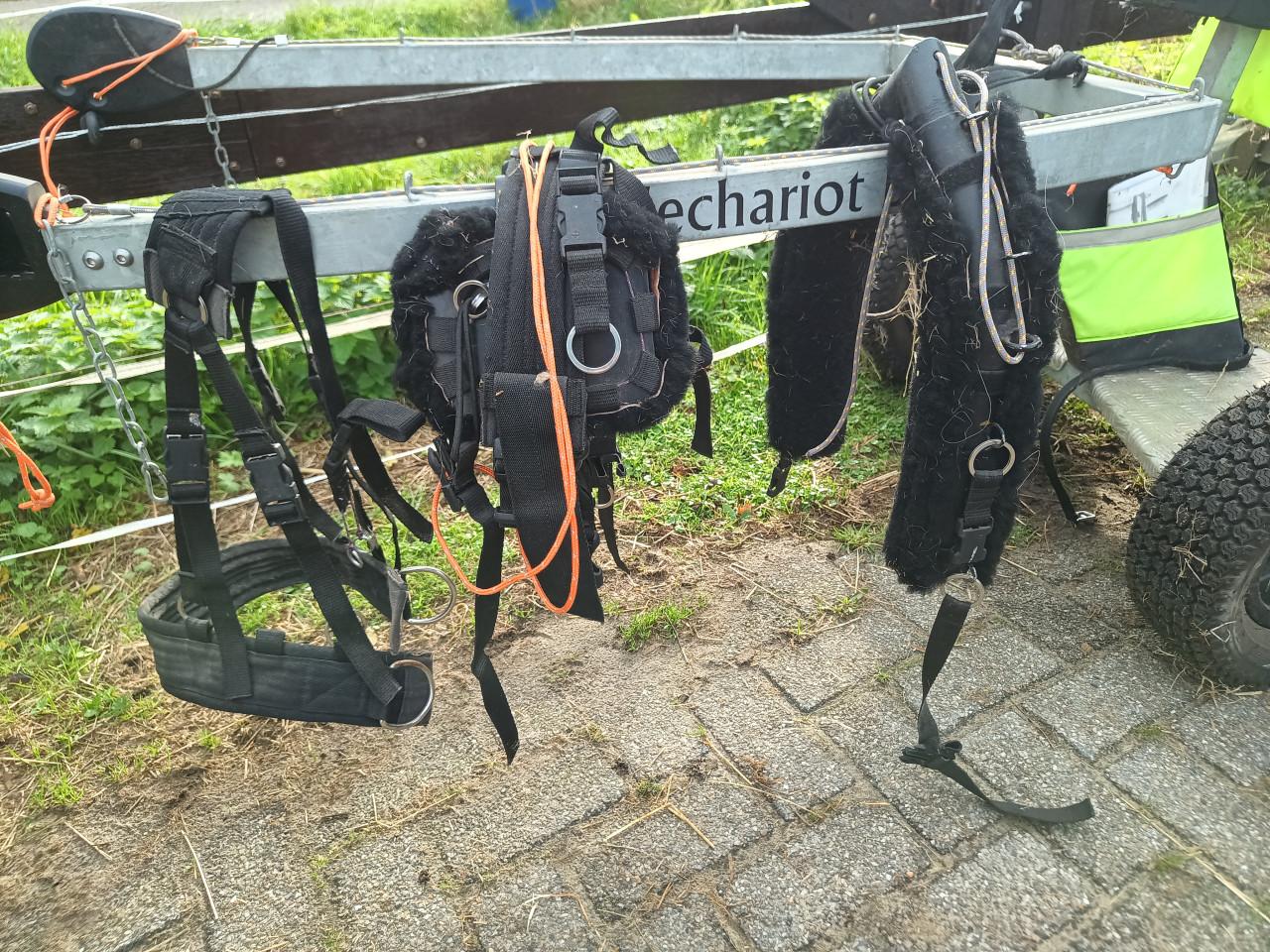 Unieke Saddle Chariot