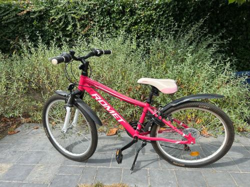 Mountainbike Romet 24 inch fiets