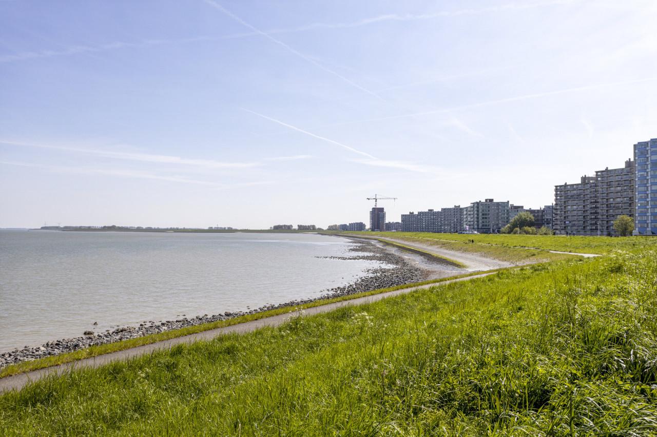 TE HUUR Appartement Terneuzen aan de schelde