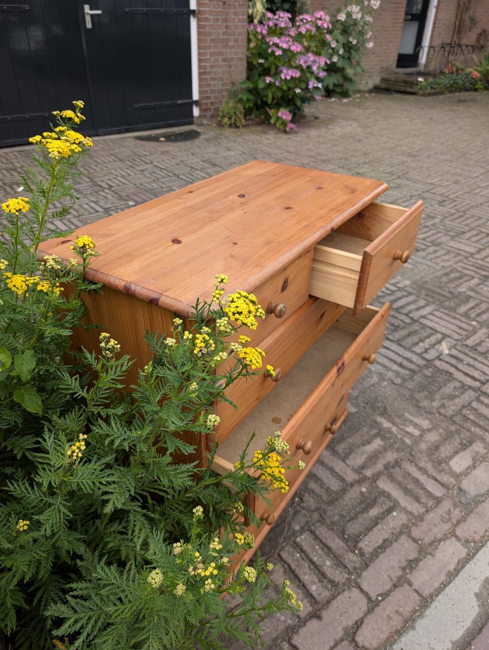 Grenen ladenkast