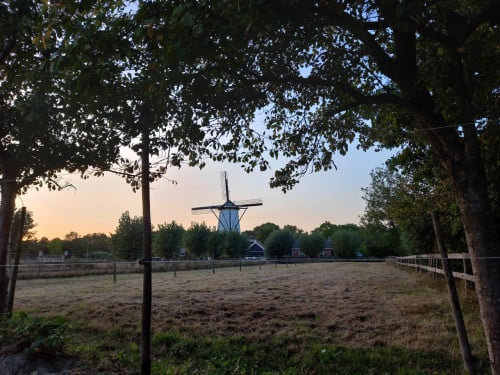 Perceel met stallen , bak, wei te koop in Kloetinge