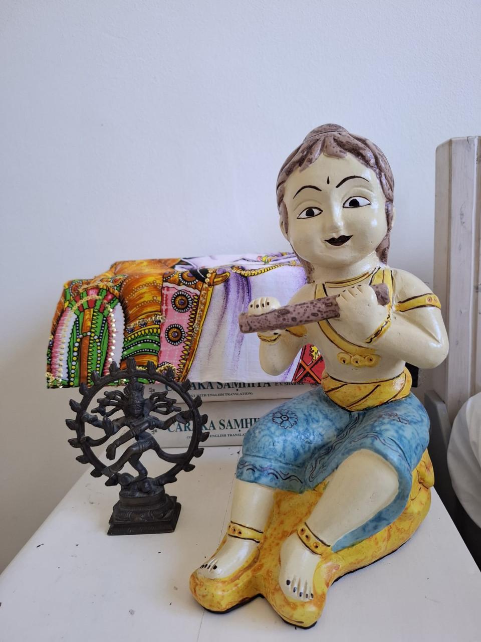 Ayurveda klassiekers, sushruta en caraka, en meer