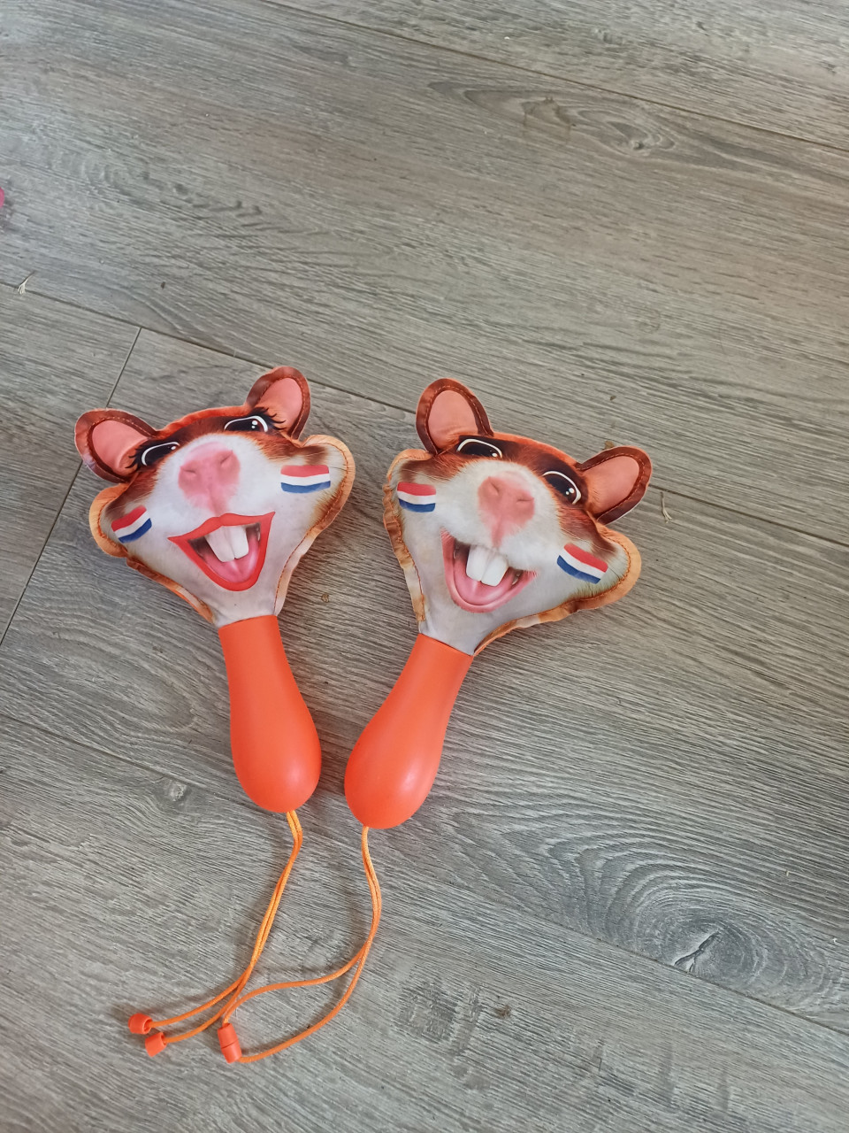 Oranje Hamsters voor muziek bij de wedstrijd.