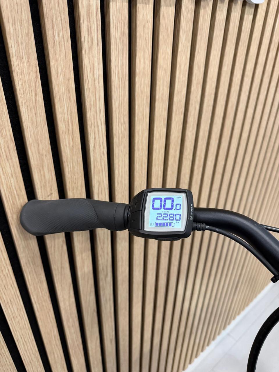 Pegasus Piazza E7F Bosch Active Line 50CM 2280KM 400Wh