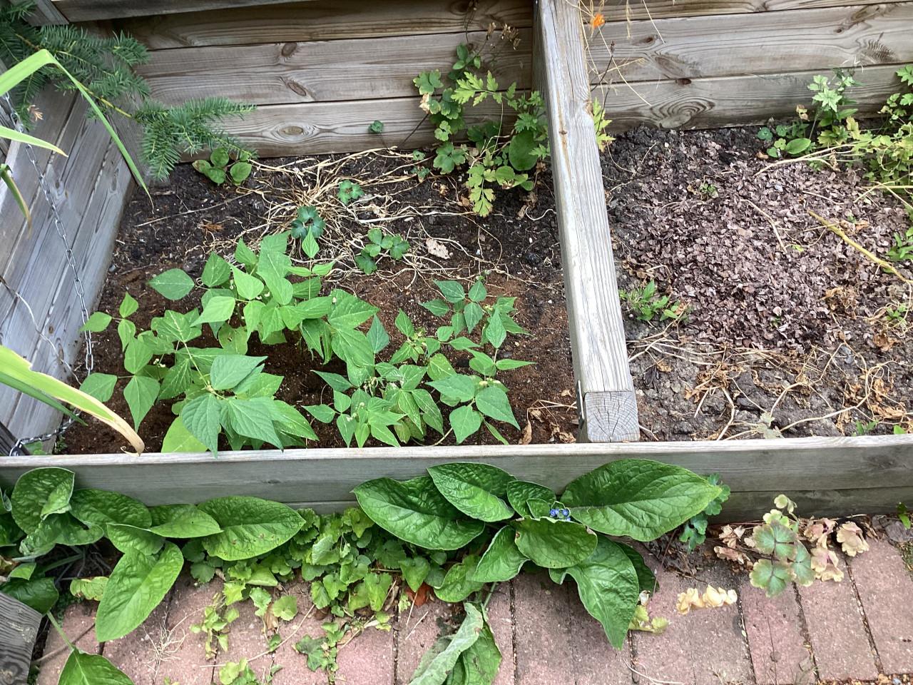 Platte moestuinbak