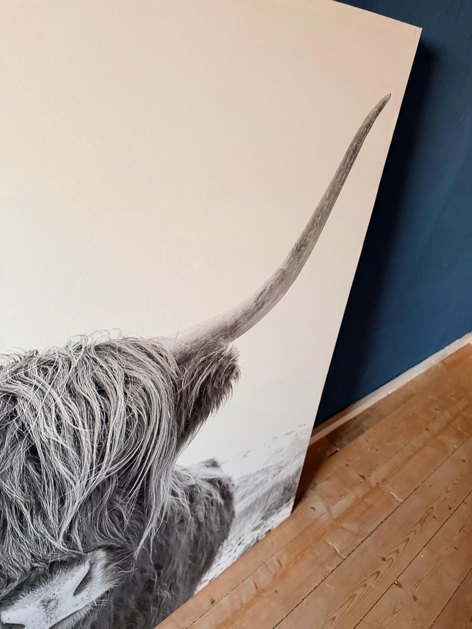 Canvasdoek met schotse hooglander te koop.