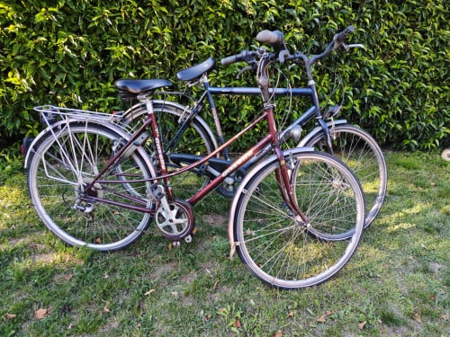 Gratis, alles in 1 keer ophalen