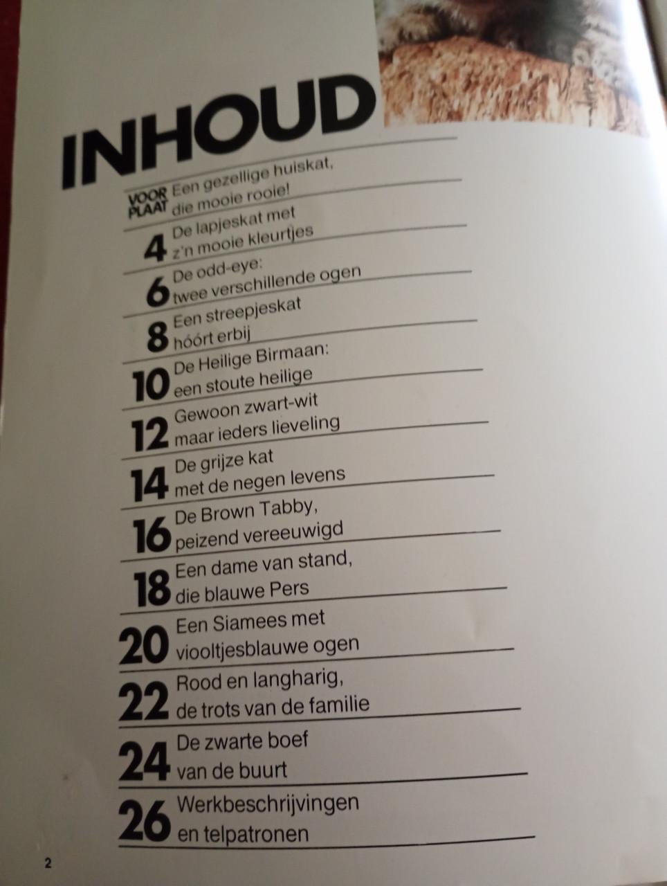 Poes in kruissteek boek
