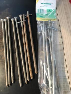 14 lange rotspinnen (tentharingen)