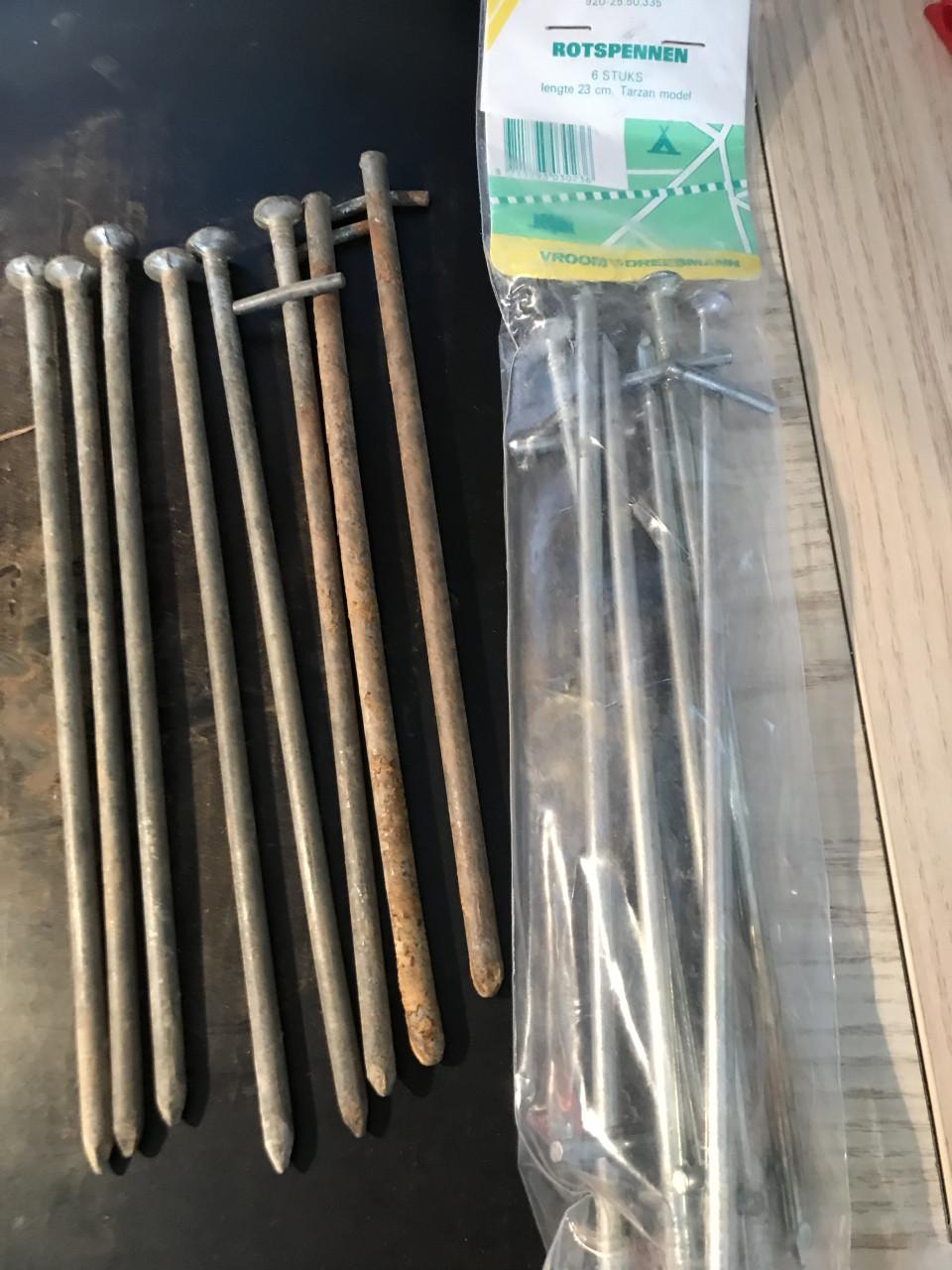 14 lange rotspinnen (tentharingen)