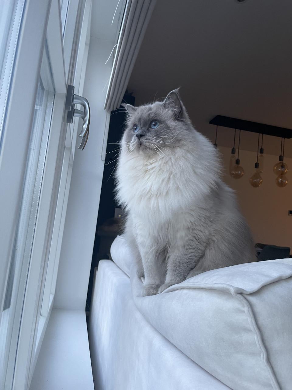 Ted en Nova zijn op zoek naar personeel